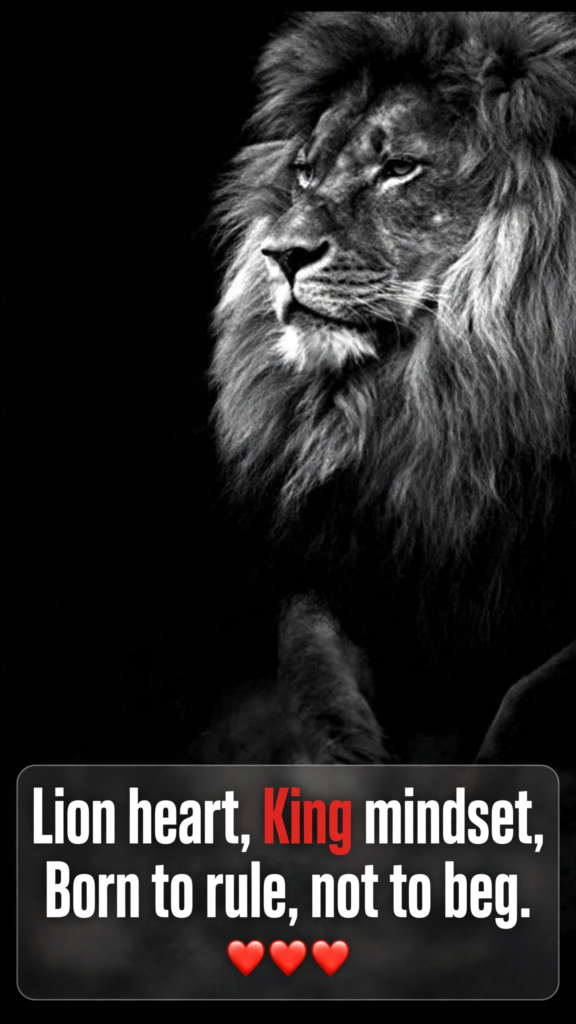 King Attitude Shayari in English
