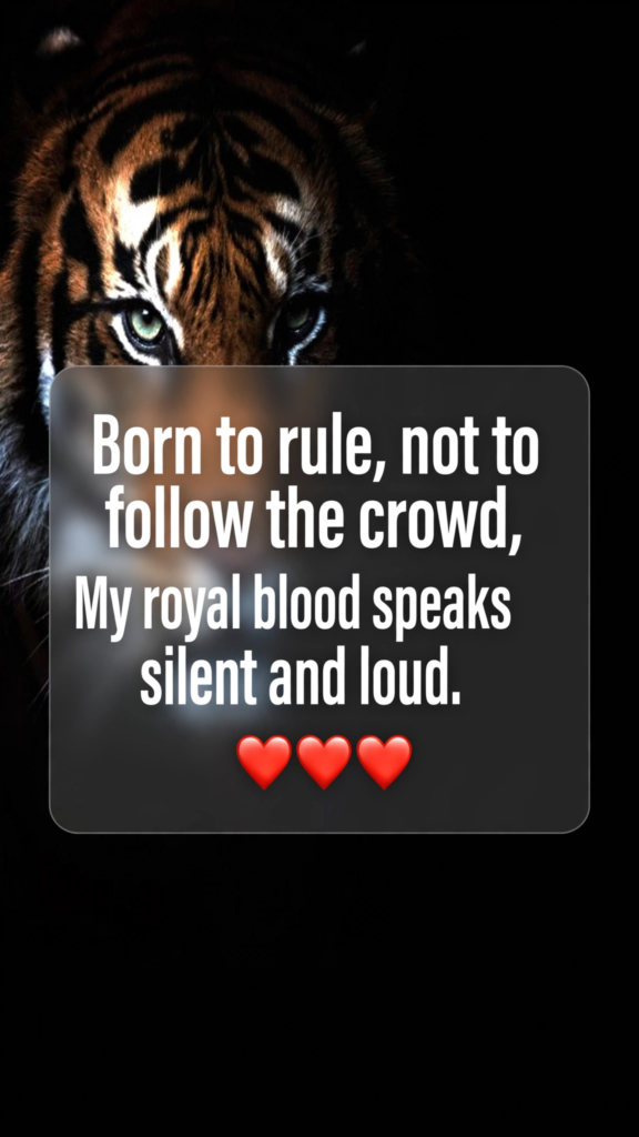Royal Attitude Shayari in English